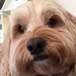 Meet your Posher, Kaleigh